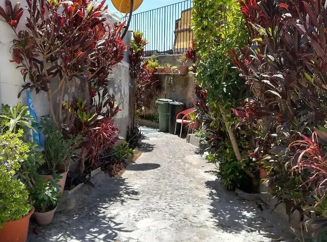 Casa Zona Velha - Caetano Apartment *