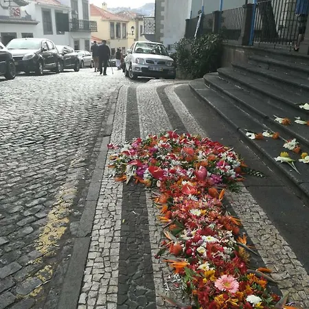 Apartman Casa Zona Velha - Caetano *