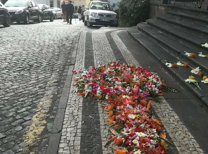 Apartment Casa Zona Velha - Caetano *